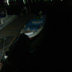 茶メバと黒メバ